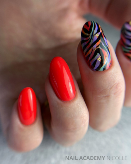 Colorful Zebra Print