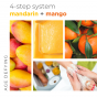 BCL SPA Starterkit - Mandarin + Mango 4-step 473 ml.